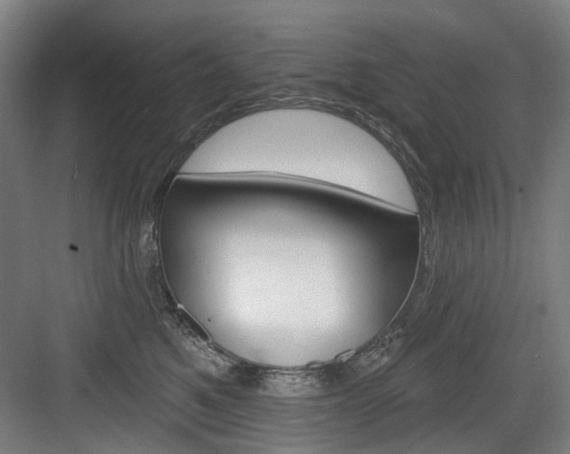 X0000084020521200702160829