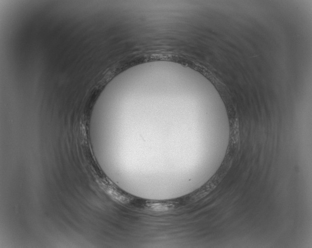 X0000084020522200702160829