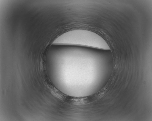 X0000084020524200702160829