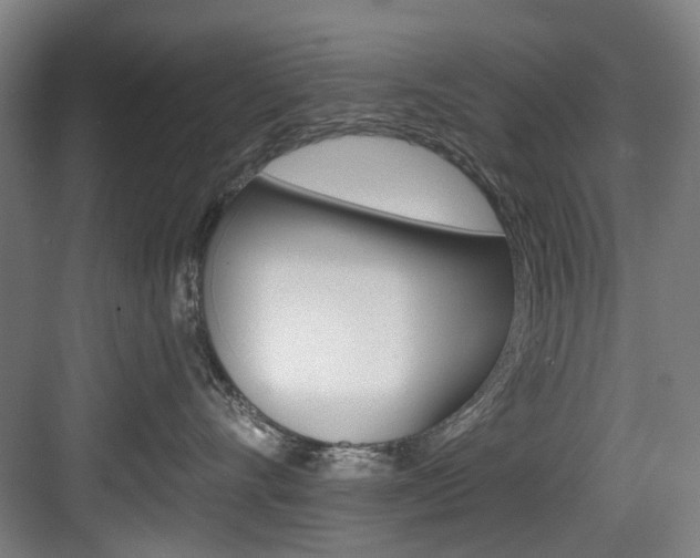 X0000084020528200702160829