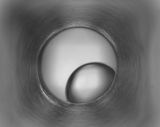 X0000084020530200702160828