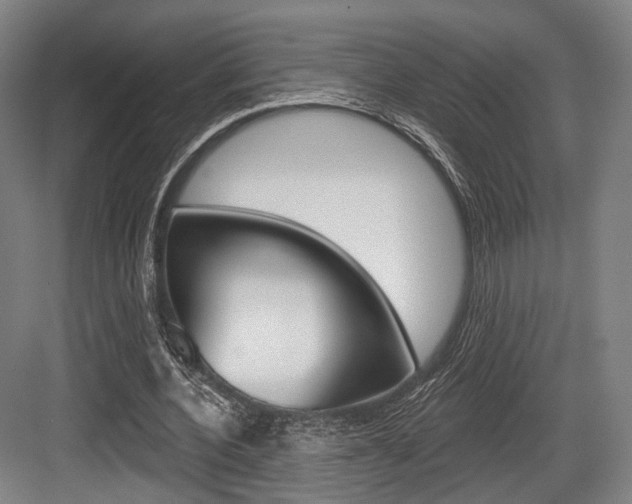 X0000084020532200702160829