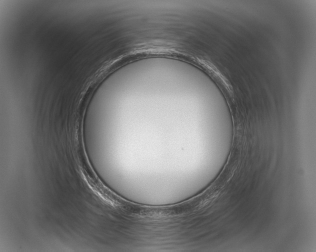X0000084020533200702160829
