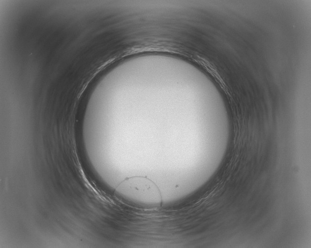 X0000084020534200702160829