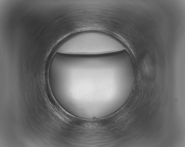X0000084020535200702160829