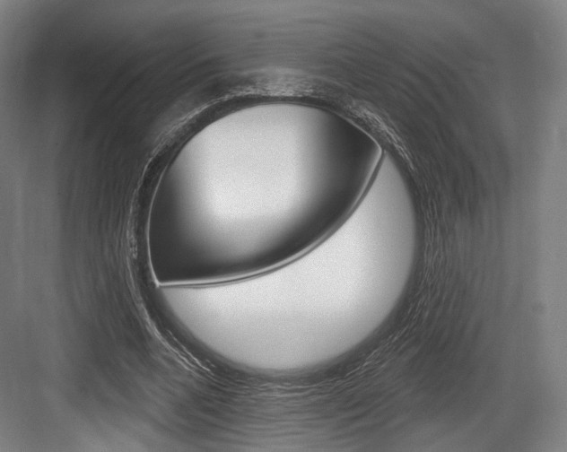 X0000084020536200702160829