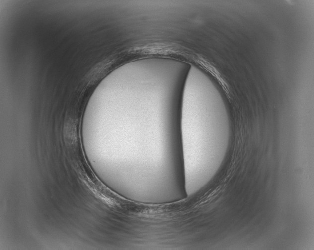 X0000084020537200702160829