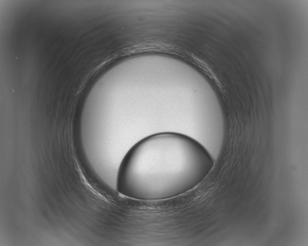 X0000084020538200702160829