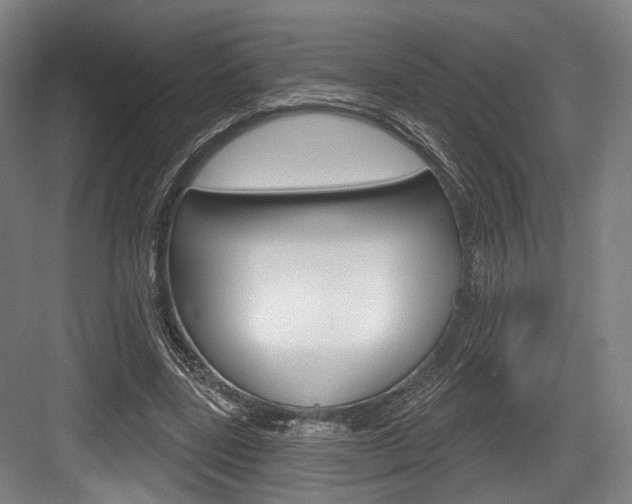 X0000084020539200702160829