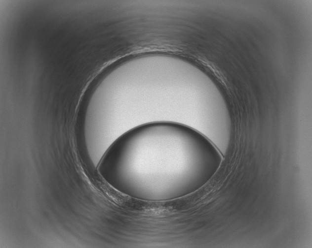 X0000084020540200702160829