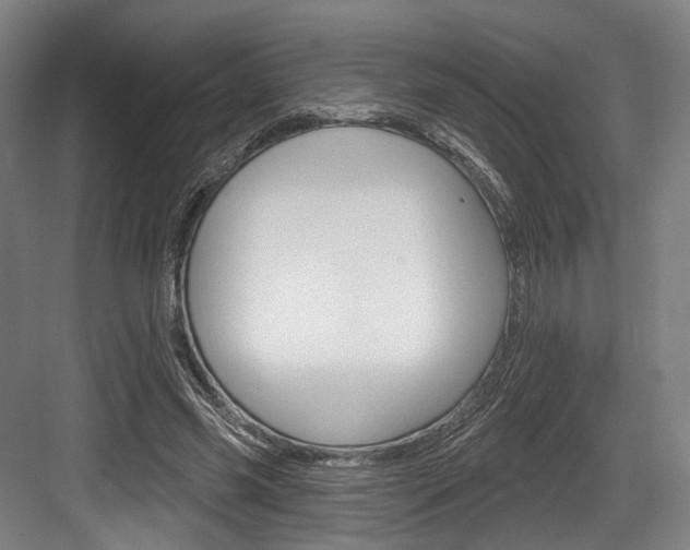X0000084020541200702160829
