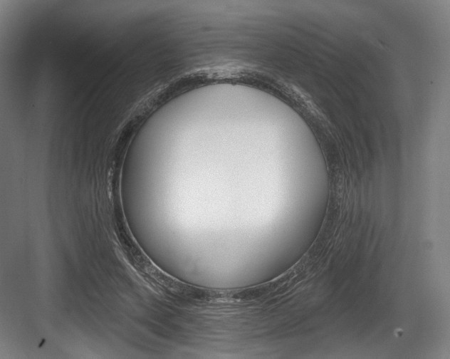 X0000084020543200702160829