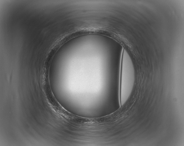 X0000084020544200702160829