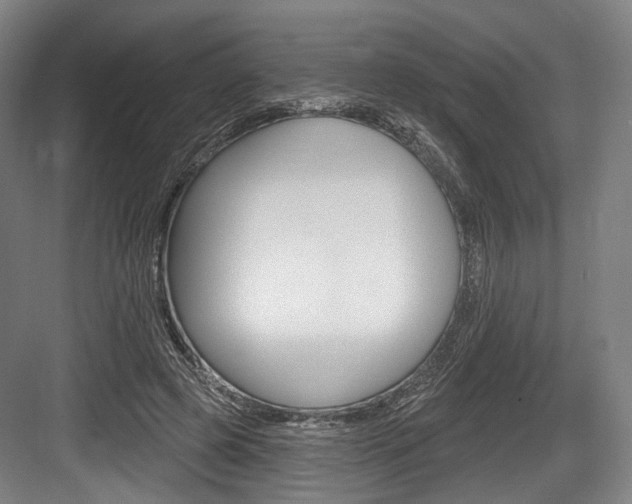X0000084020545200702160829