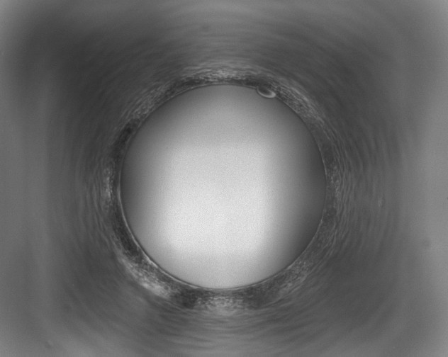 X0000084020546200702160829