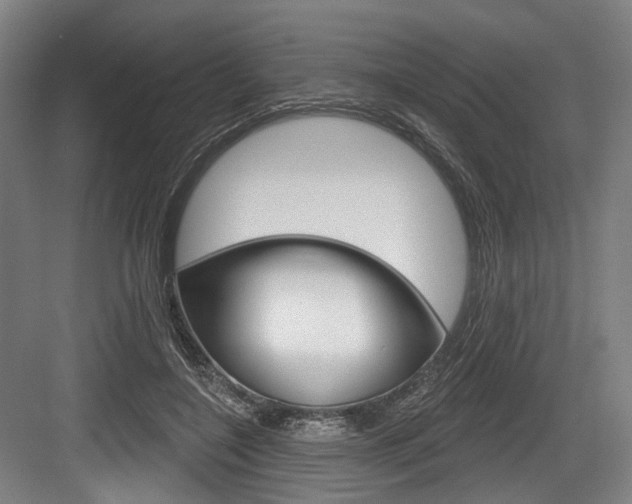 X0000084020548200702160829