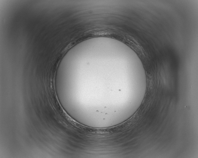 X0000084020549200702160829