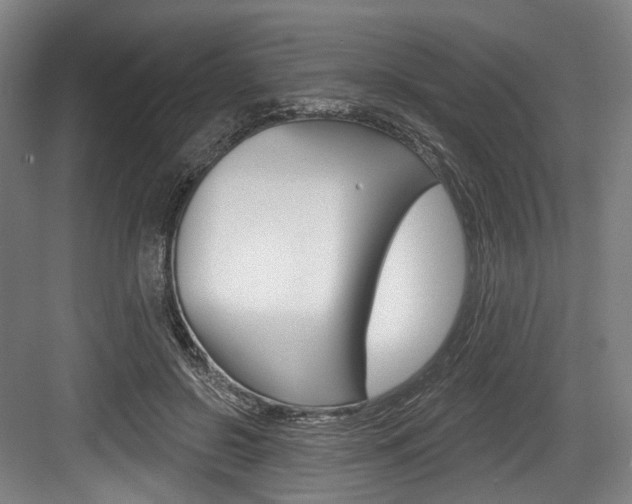 X0000084020550200702160829