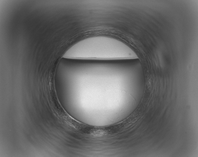 X0000084020551200702160829