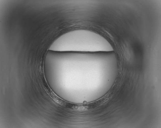 X0000084020553200702160829