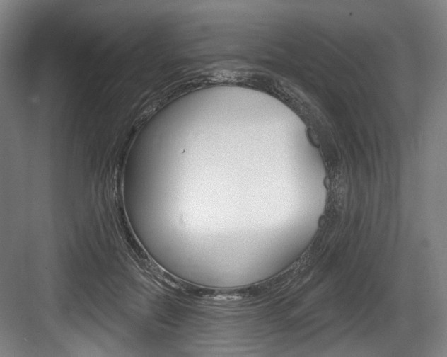 X0000084020554200702160829