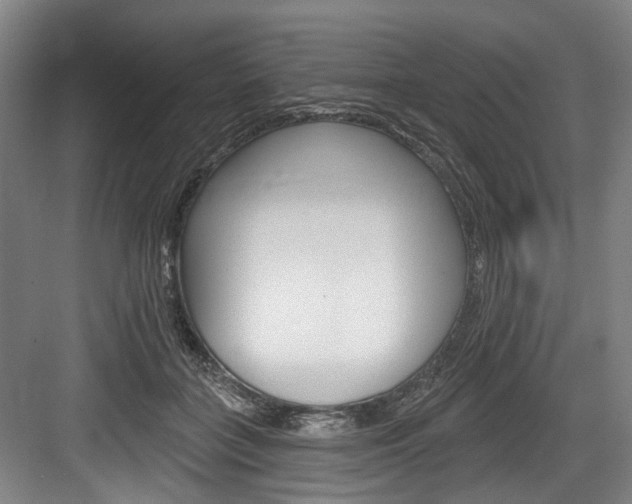 X0000084020555200702160829
