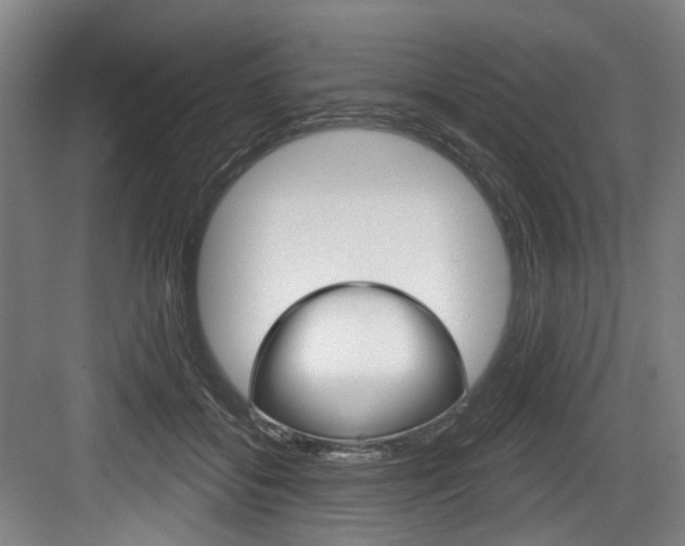 X0000084020556200702160829