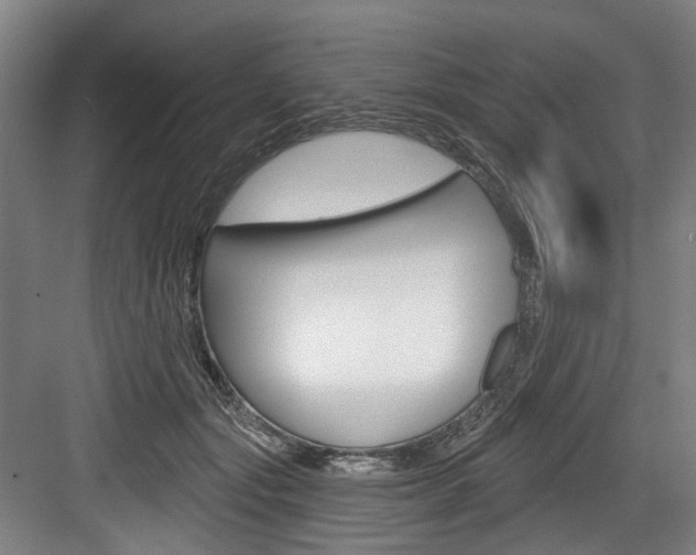 X0000084020557200702160829