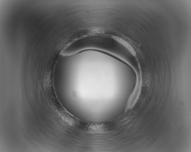 X0000084020560200702160829