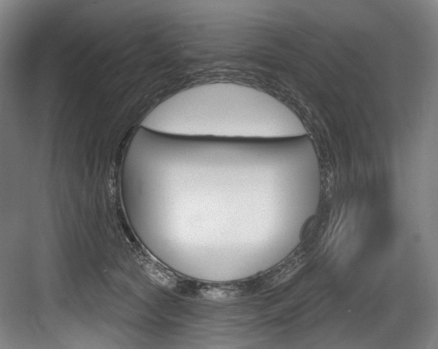 X0000084020561200702160829