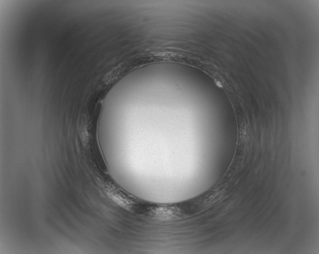 X0000084020566200702160829