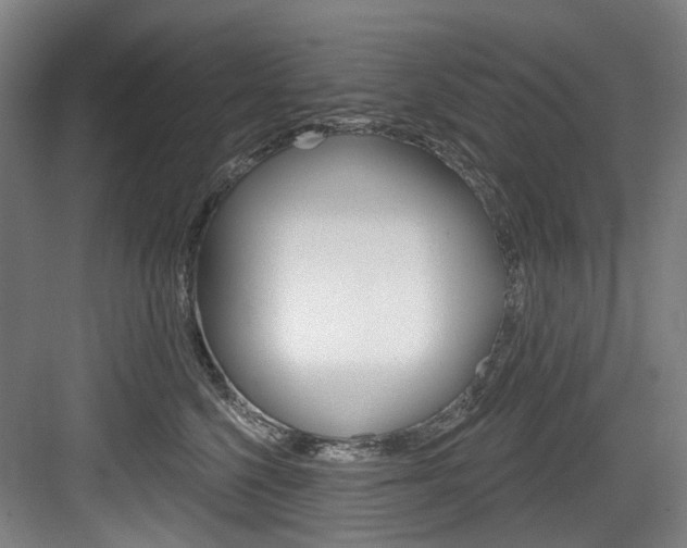 X0000084020568200702160829