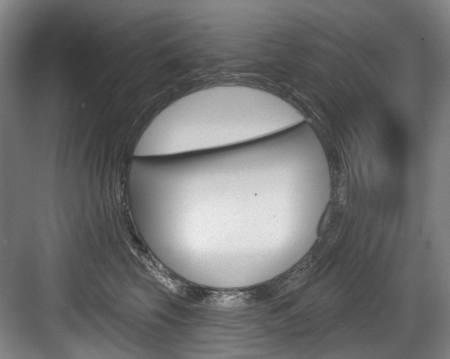 X0000084020569200702160829