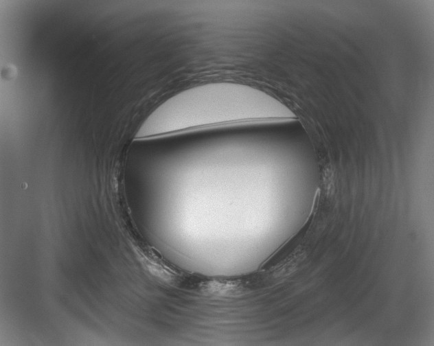 X0000084020570200702160829