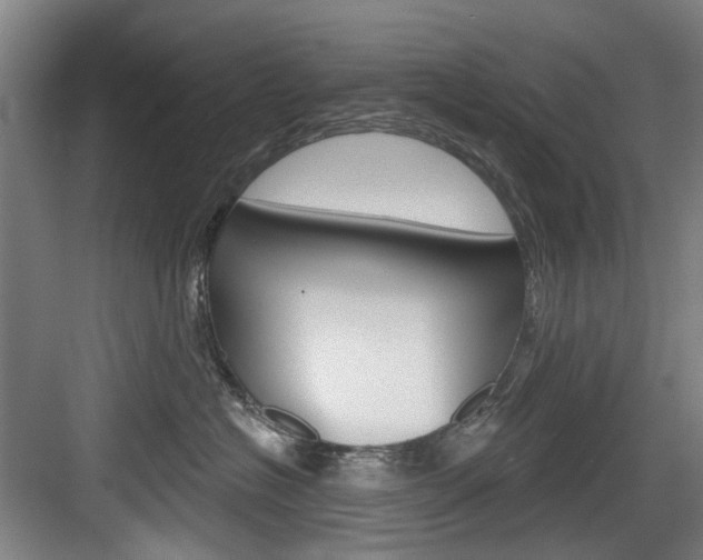 X0000084020574200702160829