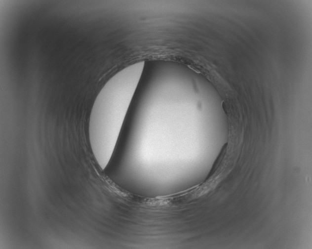 X0000084020576200702160829