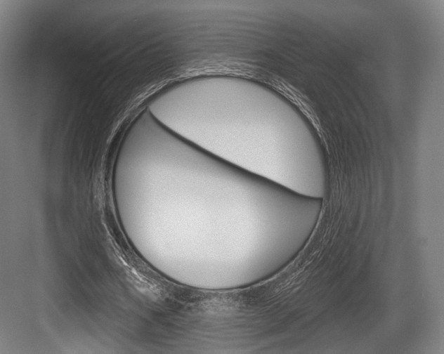 X0000084020578200702160828