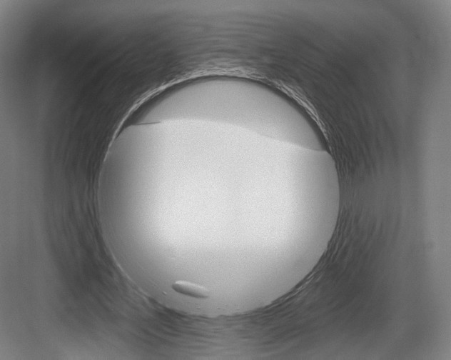 X0000084020579200702160828