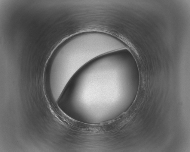 X0000084020580200702160828