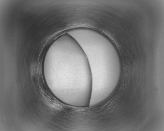 X0000084020583200702160828