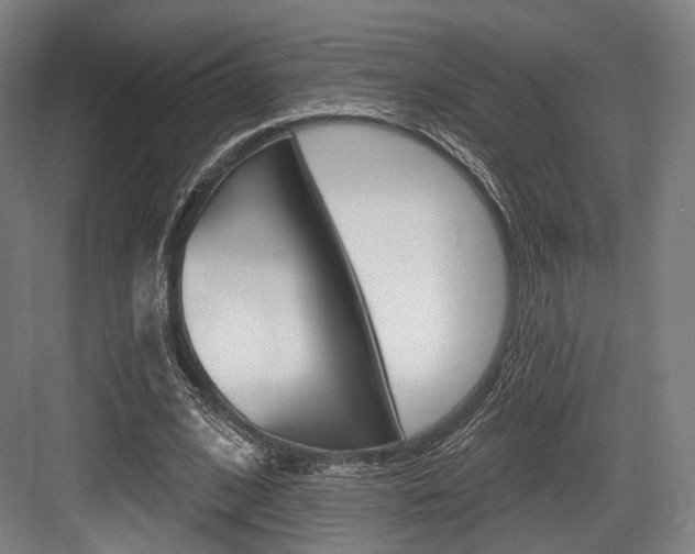 X0000084020584200702160828