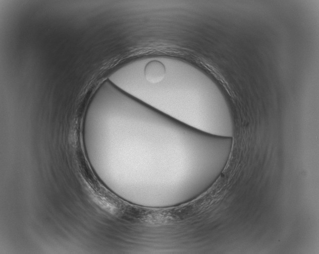 X0000084020586200702160828