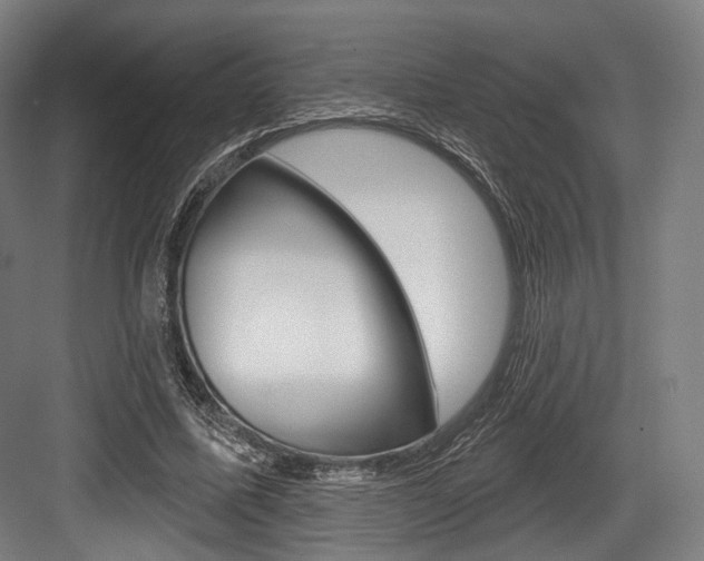 X0000084020587200702160828