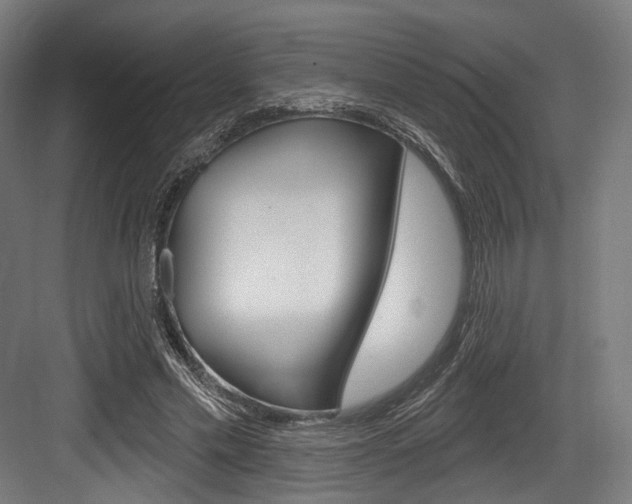 X0000084020589200702160828