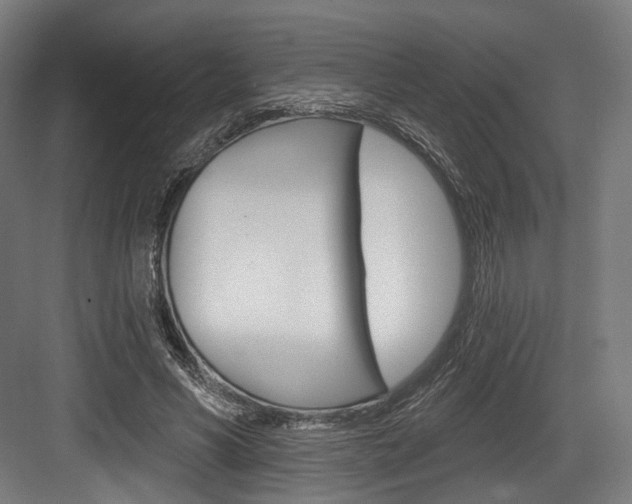 X0000084020590200702160828