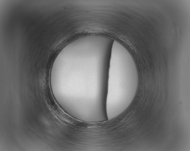 X0000084020591200702160828