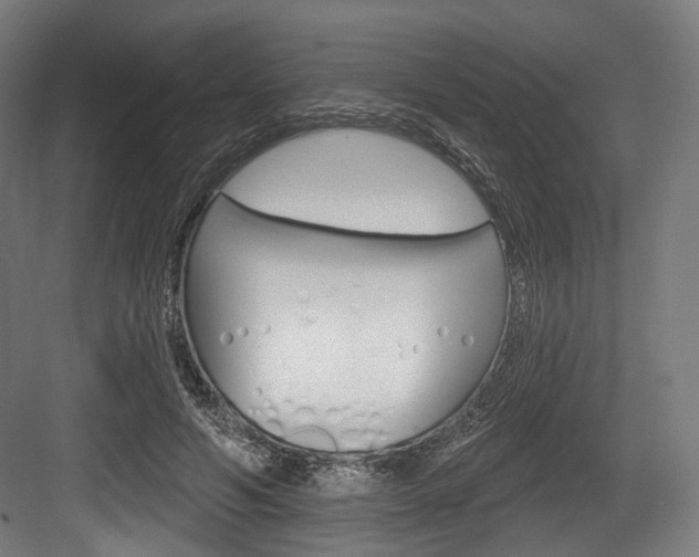 X0000084020594200702160828