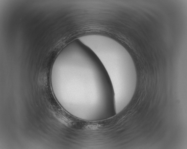 X0000084020595200702160828