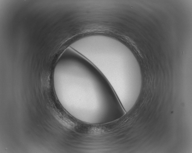 X0000084020596200702160828