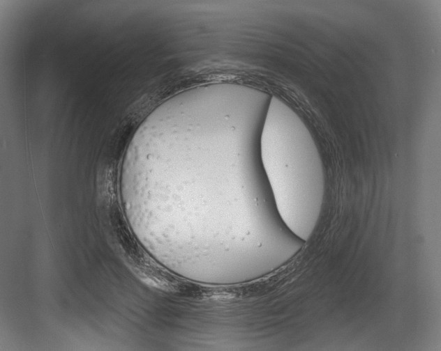 X0000084020598200702160828